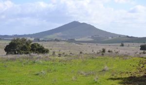 castro verde SpA.09 alcaria ruiva