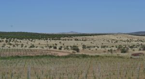 castro verde SpA.14 south of alvares