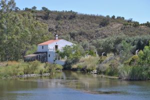 Foupana valley and mill