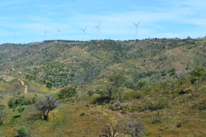 Parises northern trail