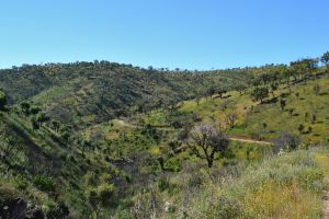 parises PR2 trail.01