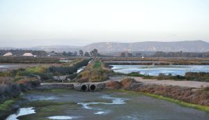 ria formosa.04 ludo salt pans