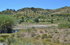 upper odeleite valley.07