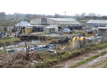 The bird is on the fence (centre) in the foreground
