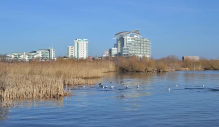 The Lesser Scaup location