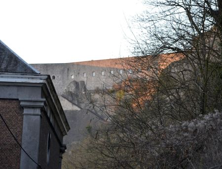 The Wallcreeper roosts under the eaves above the circular window