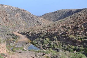 Barranco de Rio Cabras (view back from dam)
