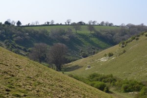 Rake Bottom, Butser Hill NNR
