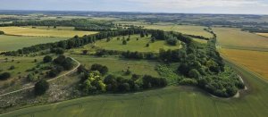 Danebury Hill, Hants