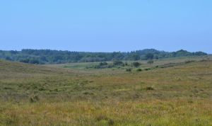 View down the valley towards Ashley Bottom