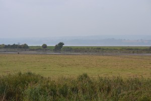 View from the Zeiss Hide ... it's out there somewhere