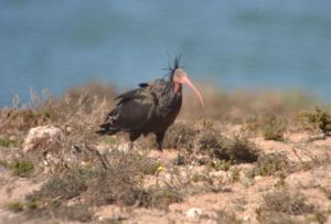 Who's a pretty boy then?