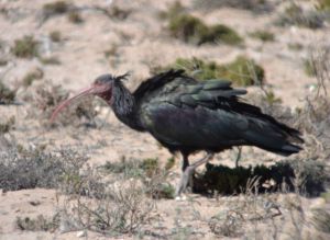 Take that one to heart!