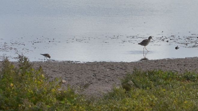 upton-warren-flashes-1602