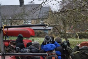 The Dusky Thrush is in the apple tree (centre)