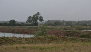 east leake quarry.1701