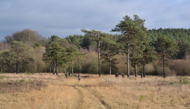 wishmoor bottom.1701