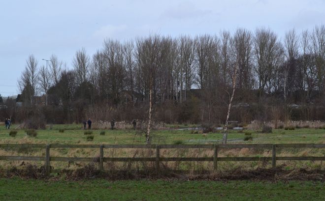 plock court wetland.1701