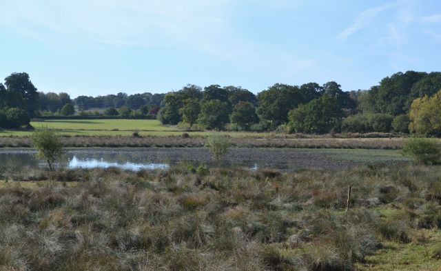 vyne water meadows_01.1801
