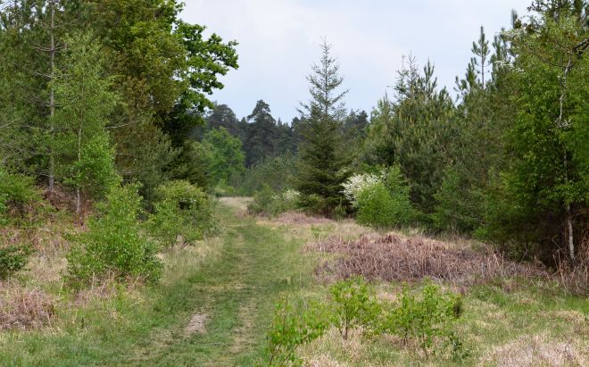 parkhill inclosure.1901