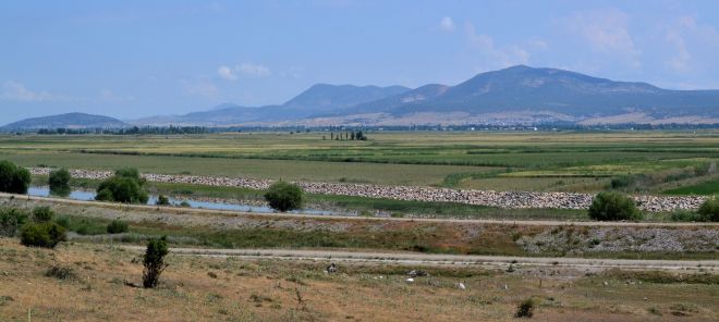 turkey.1901 landscape